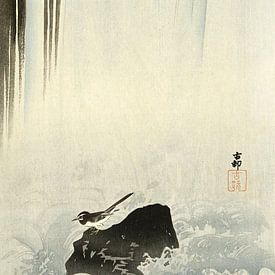 Japanese wagtail at Ohara Koson waterfall - 1900 - 1930 by Gave Meesters