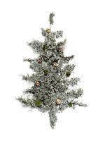 Christmas tree moss green