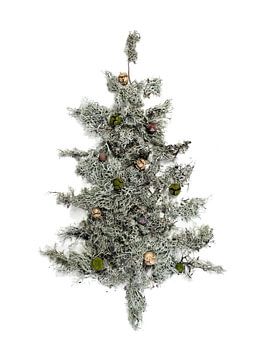 Kerstboom mos groen van Stephanie Franken