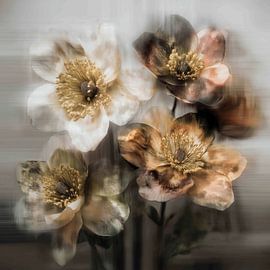 Blumen in verträumtem Glanz von Wall Wonder