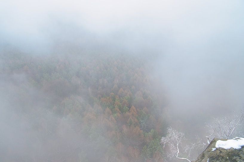 Bos in de mist in het Elbezandsteengebergte van Martin Köbsch