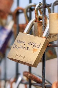 Rusty grid lock on a fence with lovey written vows 2 by Tony Vingerhoets