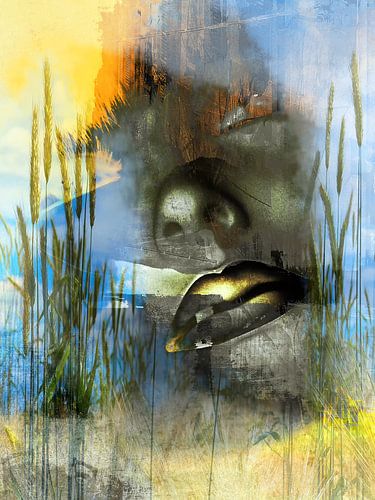 Het begin van de zomer