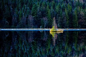 Reflexion