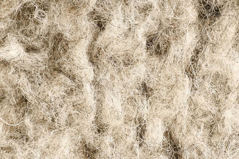 Texture pure sheep's wool / new wool by Babette Pinkster