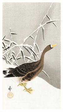White-fronted goose in the snow (1900 - 1930) by Ohara Koson van Studio POPPY