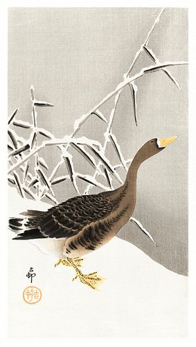 White-fronted goose in the snow (1900 - 1930) by Ohara Koson