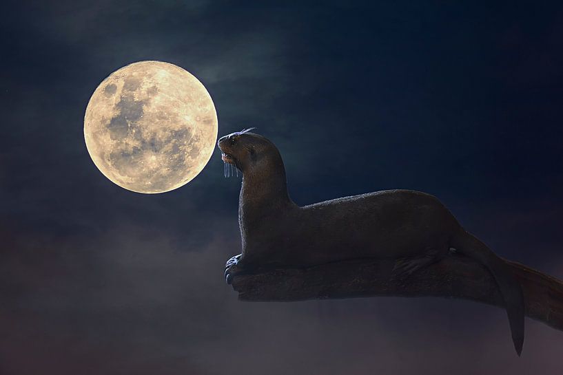 Mysteriöse Bildmanipulation des schreienden Otters bei Vollmond - Phantasievolle Nachtkunst von Elianne van Turennout