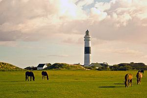 Sylt Westerland Phare (2)