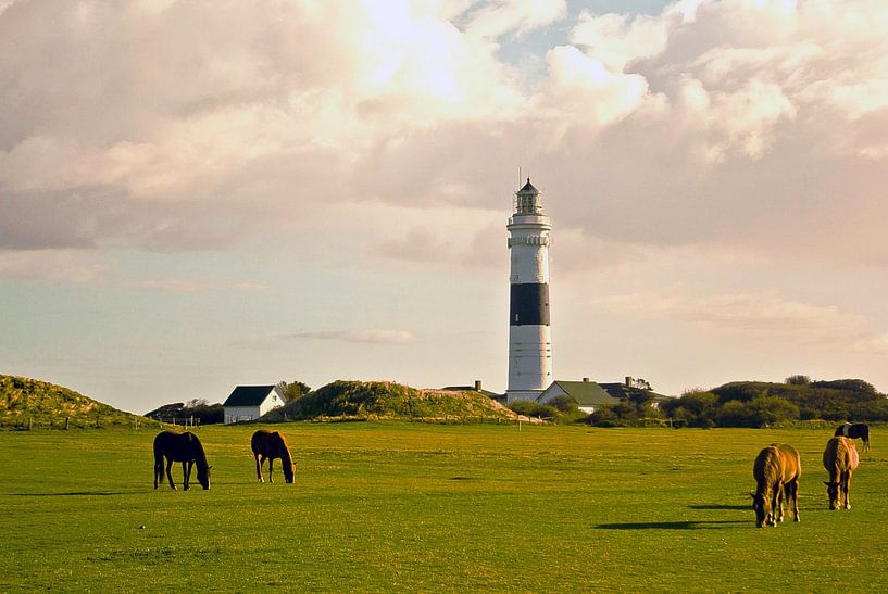 Sylt: Wenningstedt Leuchtturm (2) von Norbert Sülzner