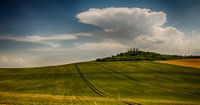 Glooiende velden in de Auvergne van Lily Ploeg thumbnail