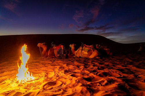 Voyageur marocain avec ses chameaux près du feu de camp sur Rene Siebring