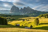 L'Alpe de Siusi dans le Tyrol du Sud aux premières lueurs de l'aube