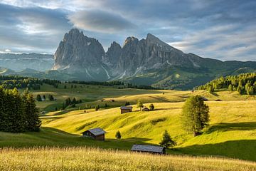 The Alpe di Siusi in South Tyrol in the first morning light van Michael Valjak
