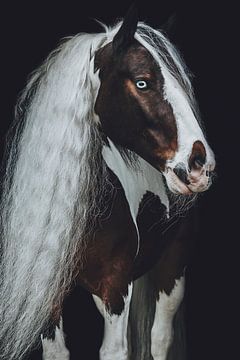 Kunstporträt Pferd lange Mähne von Shirley van Lieshout