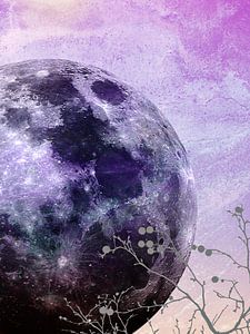 MOON under MAGIC SKY VII-2