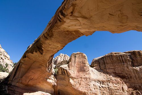 Capitol Reef NP-5