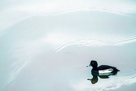 Just one of me by Irene Lommers