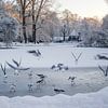 Wilhelminapark Utrecht in de Winter van Russcher Tekst & Beeld