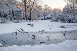 Wilhelmina Parliament Utrecht in Winter