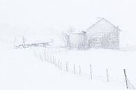 Snowstorm by Antwan Janssen thumbnail