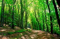 Spring by Ostsee Bilder thumbnail