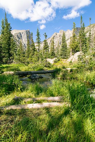 Uitzicht in de Rocky Mountains