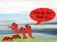 “C’mon the Reds!!!”