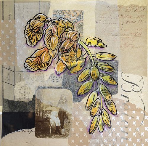 Illustratie van planten en bloemen in collagestijl