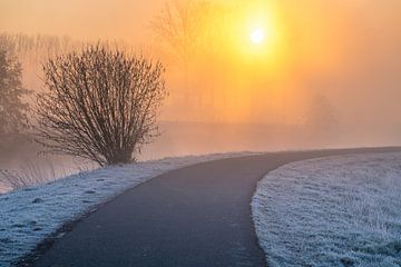 Aan de Dender smorgens vroeg