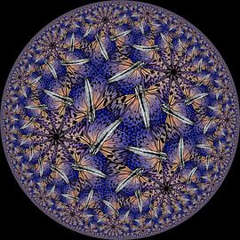 Butterfly by Tis Veugen