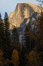 Half-Dome bei Sonnenuntergang von Thomas Bekker Miniaturansicht