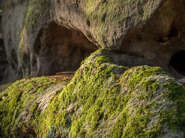 Labyrinthe, Suisse saxonne - Niches rocheuses avec mousse sur Pixelwerk