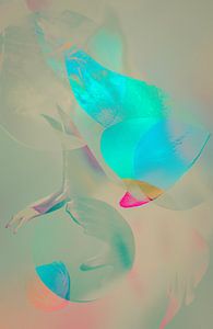 Collage abstrait en couleur
