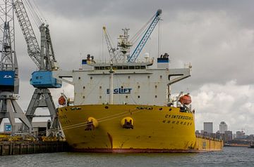 Een zwaar transport schip afgemeerd Waalhaven van scheepskijkerhavenfotografie