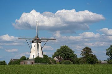 Windmühle, Bedburg, Nordrhein-Westfalen, Deutschland