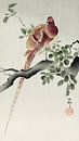 Copper pheasant (1900 - 1930) by Ohara Koson by Studio POPPY thumbnail