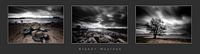 Stormachtig weer, Pannerden van Eddy Westdijk thumbnail