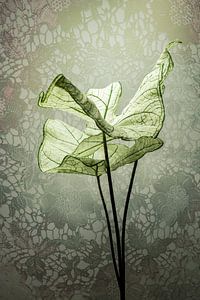 Traumwelt. Stilleben mit Blumen. Romantische Traumwelt