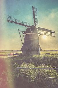 Het Zwaantje