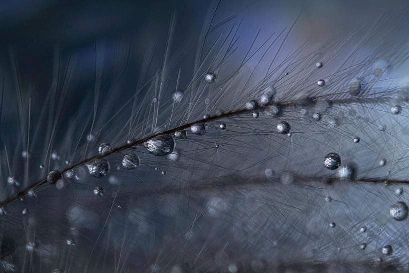 Blauw Abstract Waterdruppels op Pluisje van Nanda Bussers