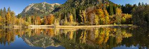 Im Spiegel des Herbstes – Stille über dem Allgäu
