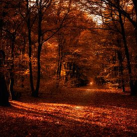 Autumn atmosphere by Bas Mandos