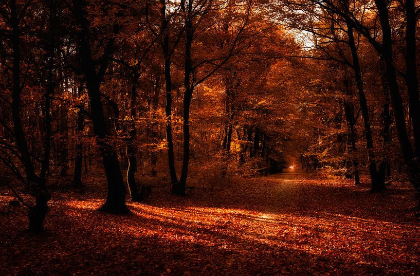 Ambiance d'automne par Bas Mandos