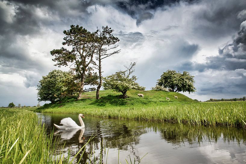 Cygne et moutons dans un vieux bunker par Frans Lemmens