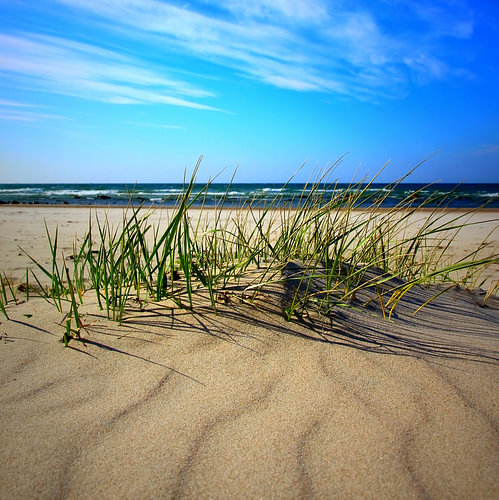 Vagues de sable
