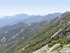 Beboste bergtoppen in Amerika van Achim Prill thumbnail