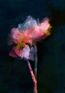 Fleurs sur fond sombre