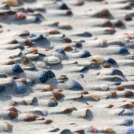 Shell beach by Peter Leenen