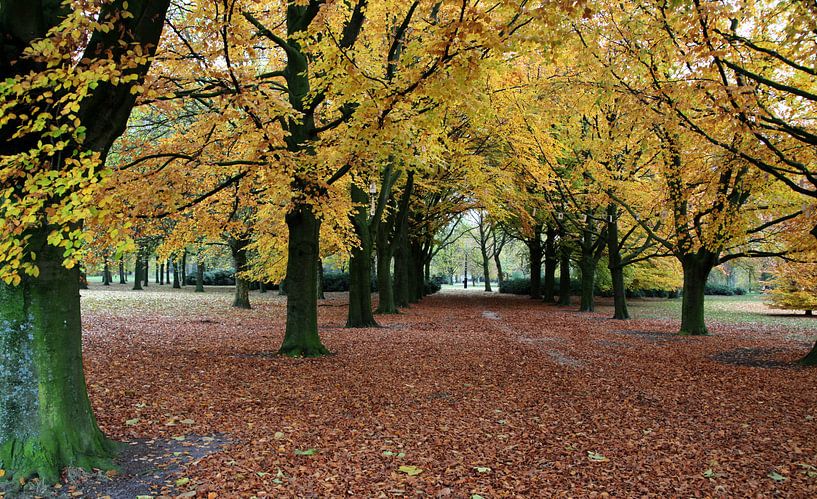 HERFSTKLEUREN by Ad van Amelsfoort